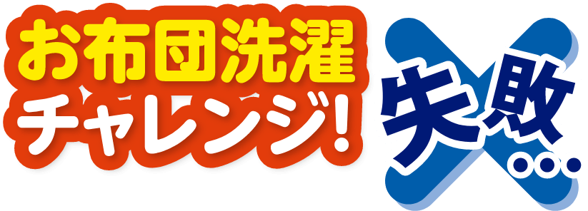 毛布洗濯チャレンジ 成功！