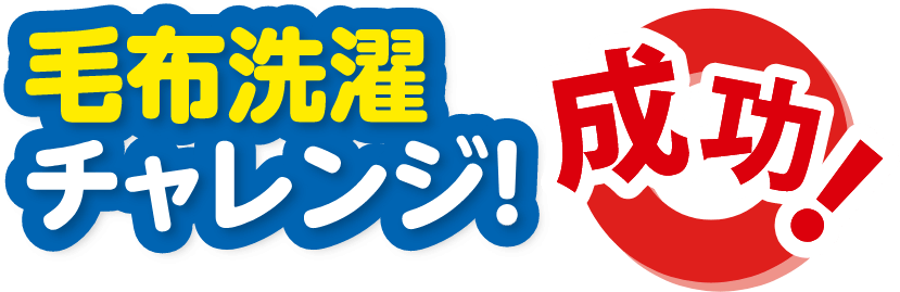 毛布洗濯チャレンジ 成功！