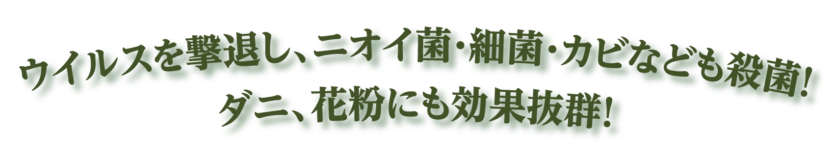 ウイルスを撃退し、ニオイ菌・細菌・カビなども殺菌！ダニ、花粉にも効果抜群！